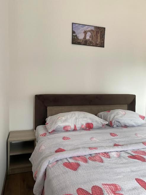 Dom Apartmani Крагуевац Экстерьер фото